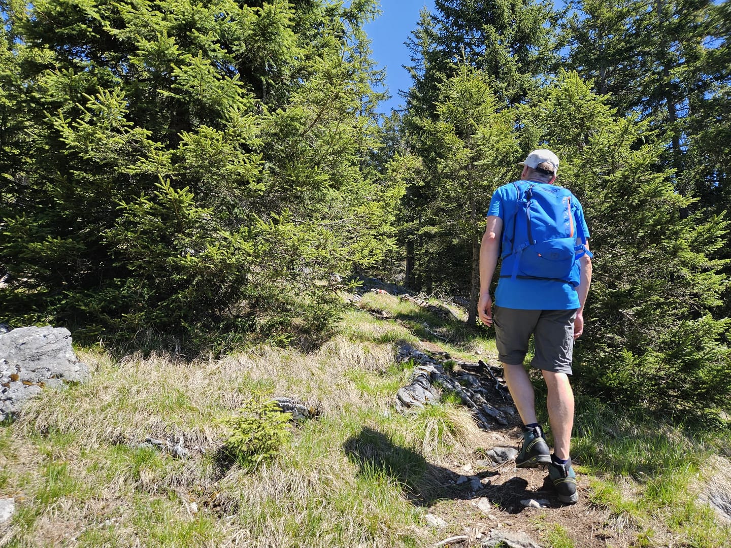 Großer Pölven 1.595 m (Wanderung) Grosser Poelven 1.595 m Wanderung 10