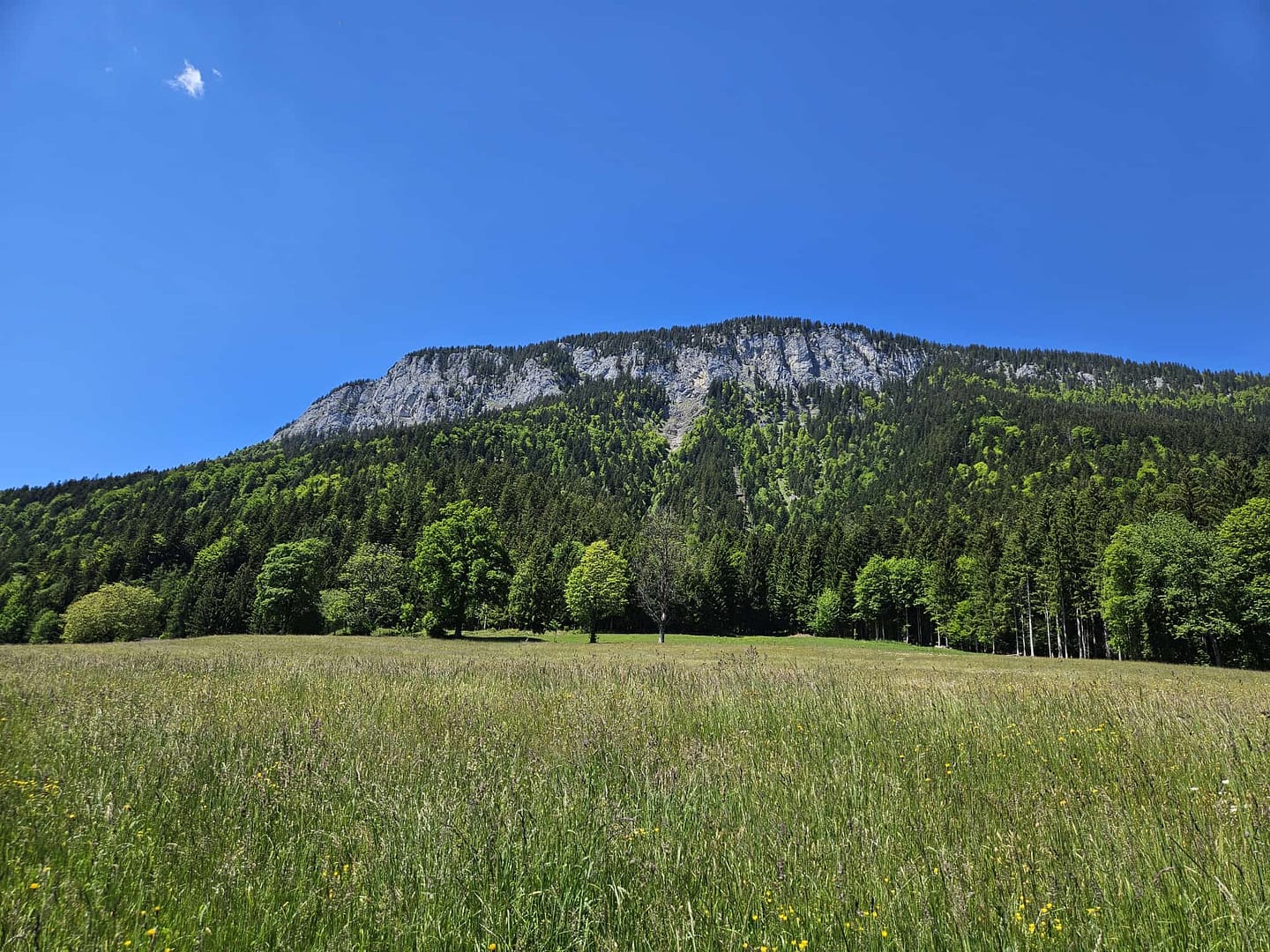 Großer Pölven 1.595 m (Wanderung) Grosser Poelven 1.595 m Wanderung 16