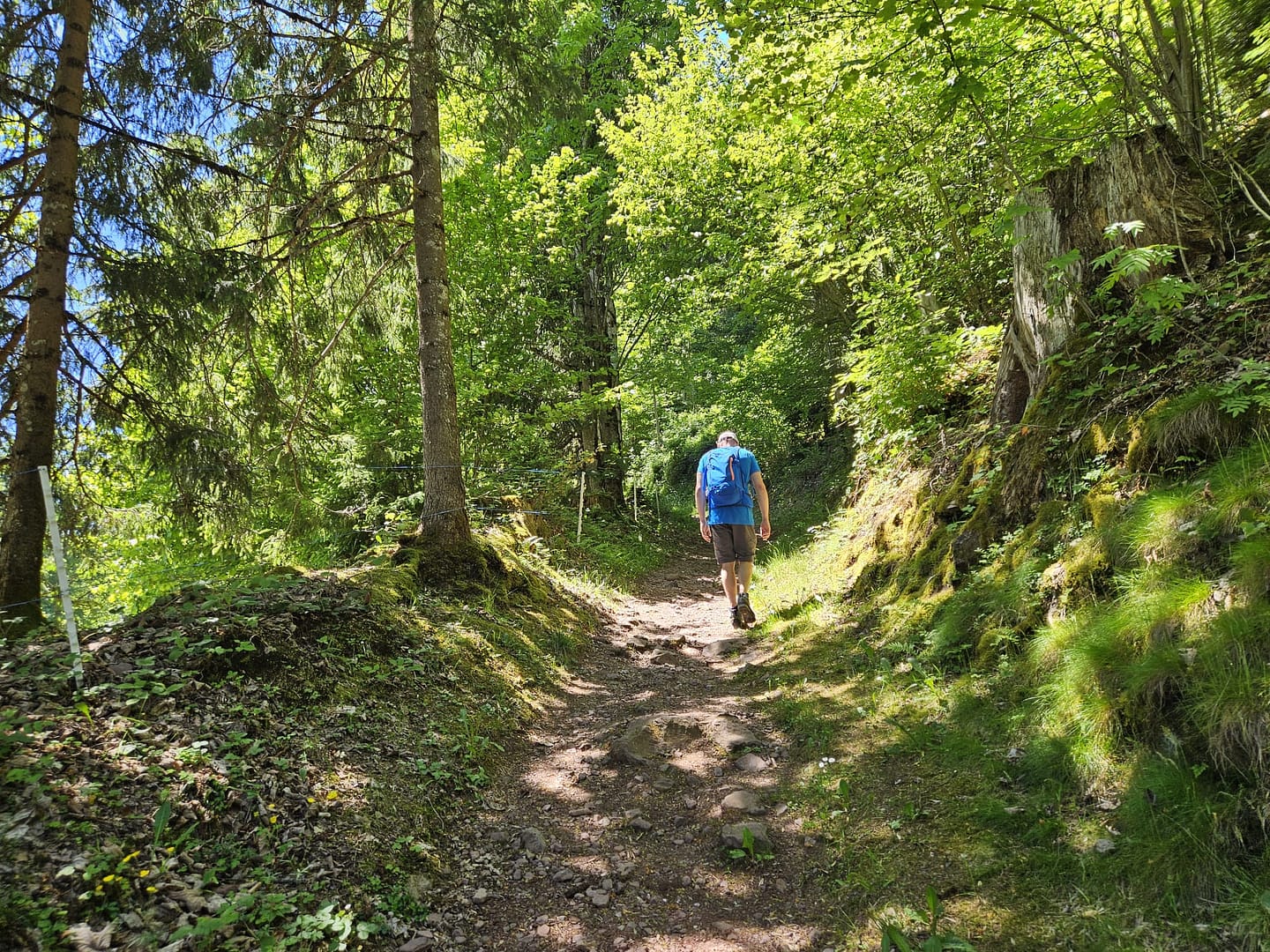 Großer Pölven 1.595 m (Wanderung) Grosser Poelven 1.595 m Wanderung 19
