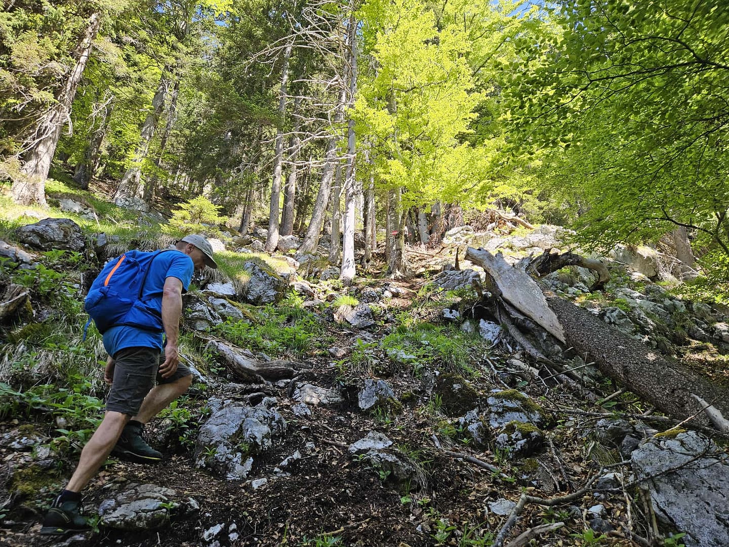 Großer Pölven 1.595 m (Wanderung) Grosser Poelven 1.595 m Wanderung 5