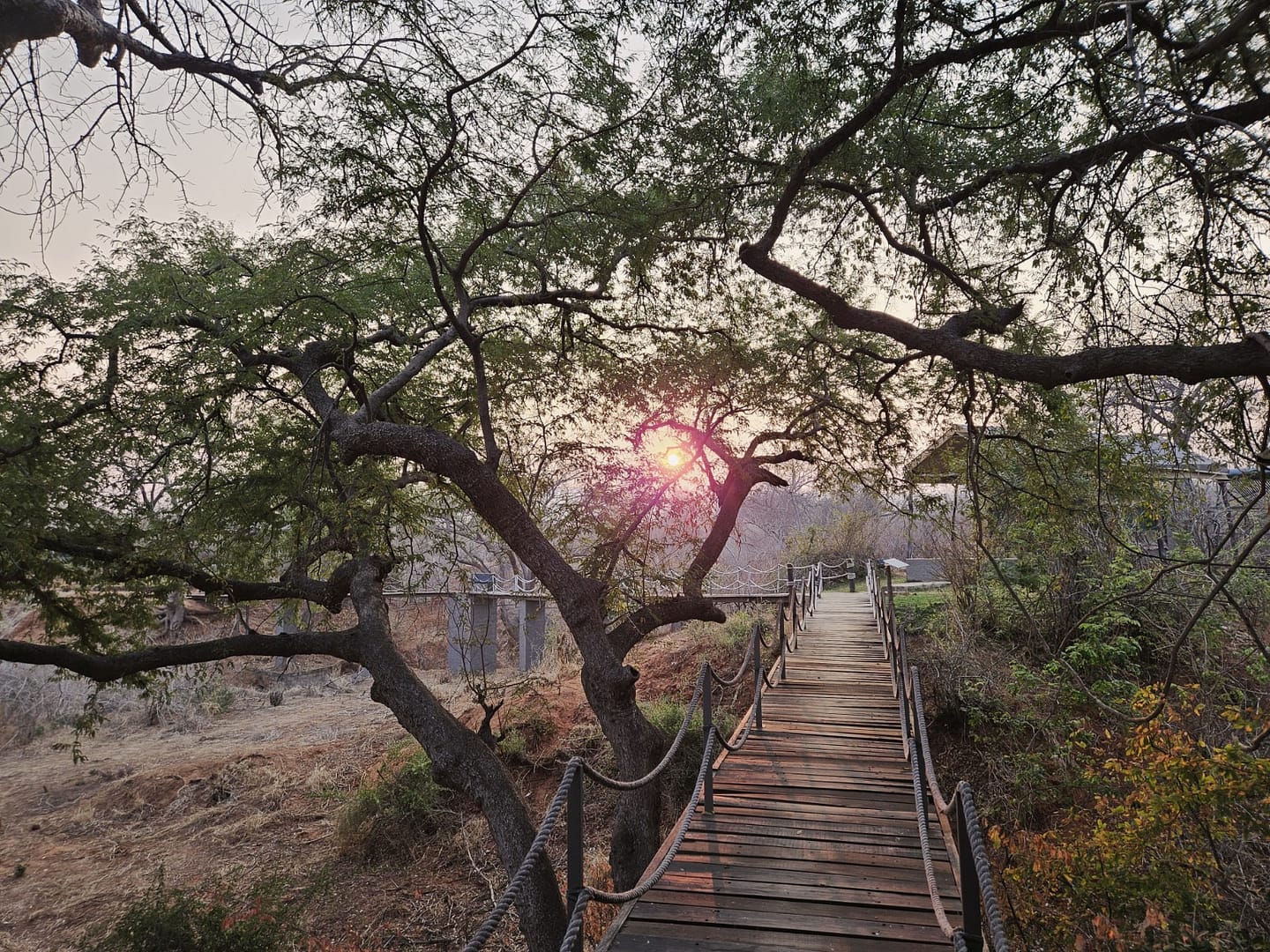 Lower Zambezi Nationalpark - Game drive Lower Zambezi Nationalpark 19 1