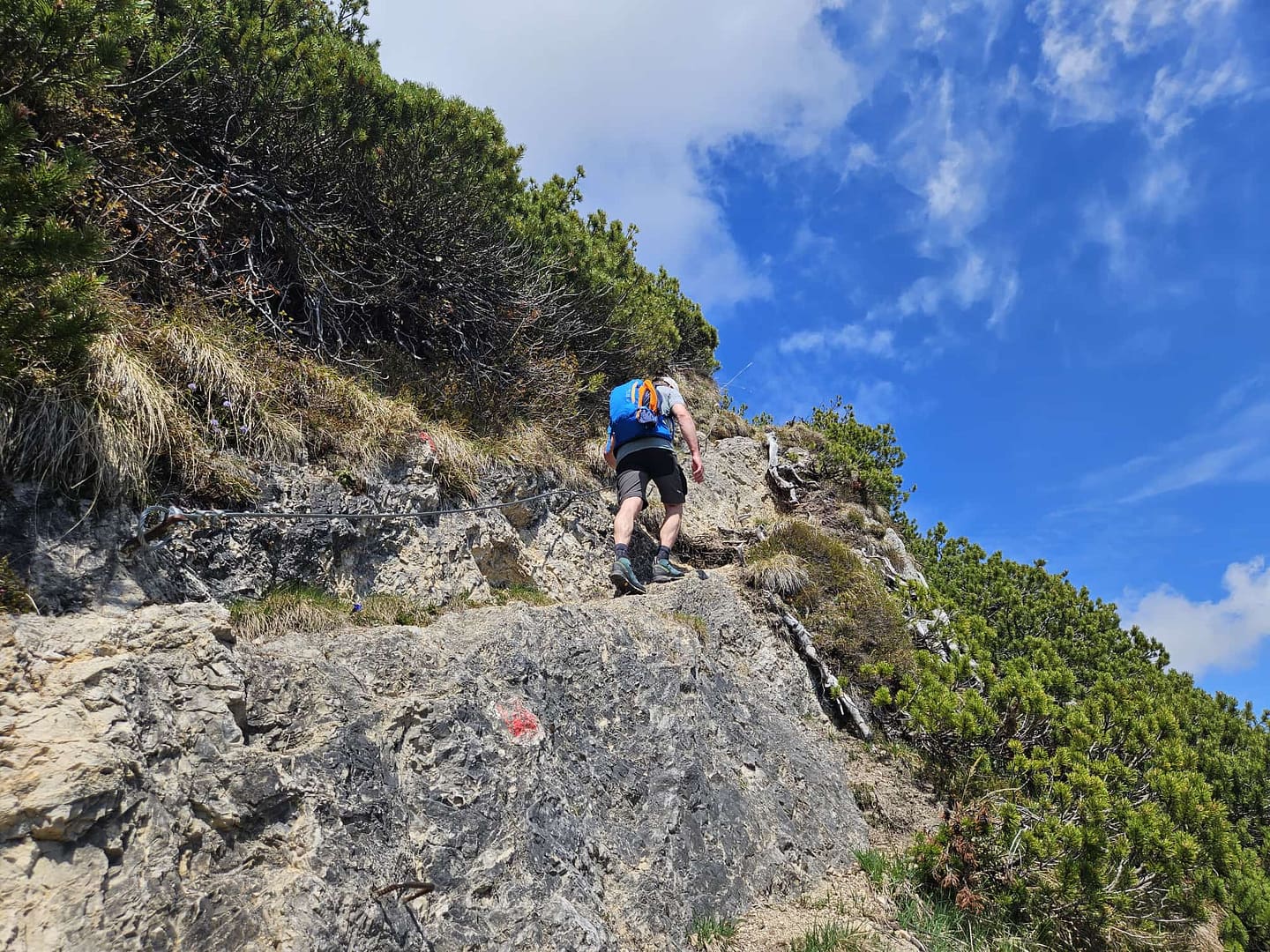 Plessenberg 1.743 m Überschreitung (Bergtour) Plessenberg 1.743 m Ueberschreitung Bergtour 18