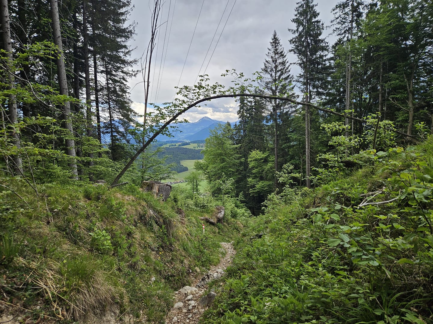 Plessenberg 1.743 m Überschreitung (Bergtour) Plessenberg 1.743 m Ueberschreitung Bergtour 26