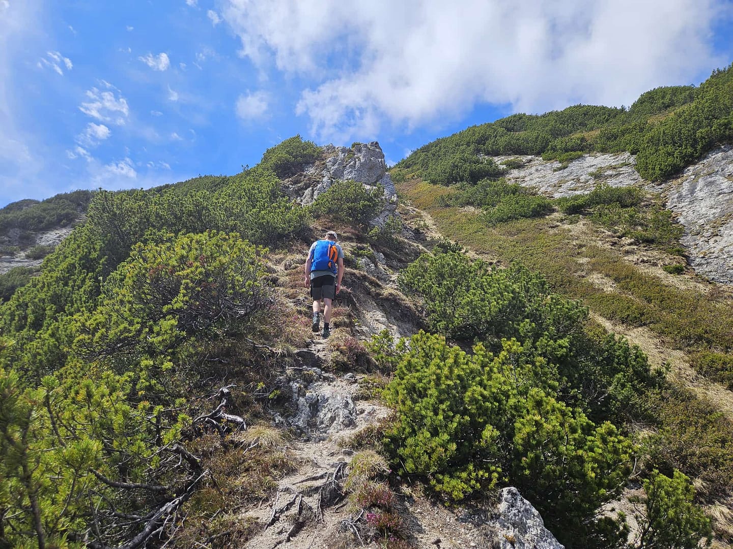 Plessenberg 1.743 m Überschreitung (Bergtour) Plessenberg 1.743 m Ueberschreitung Bergtour 27