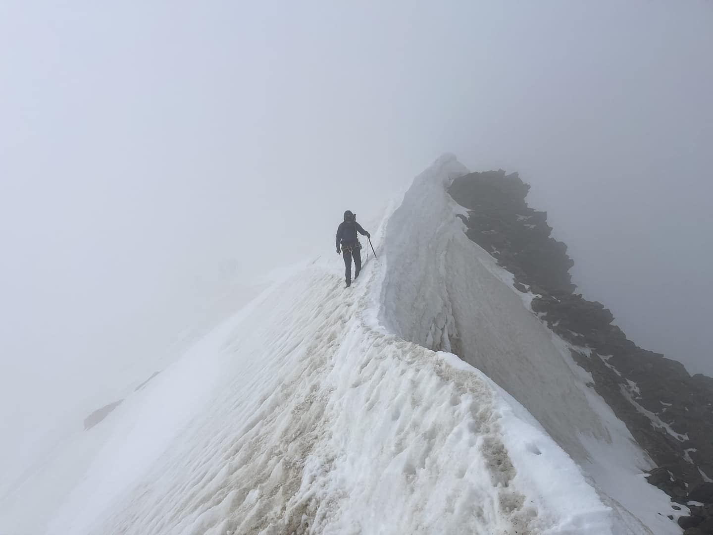 Weißkugel 3.739 m (Hochtour) Weisskugel 3.739 m Hochtour 1