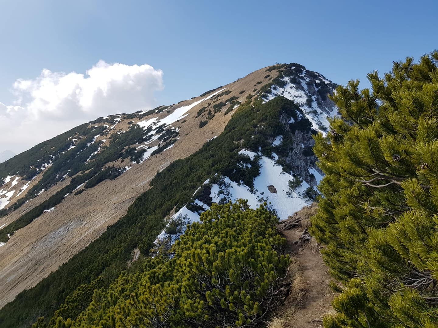 Notkarspitze wandern