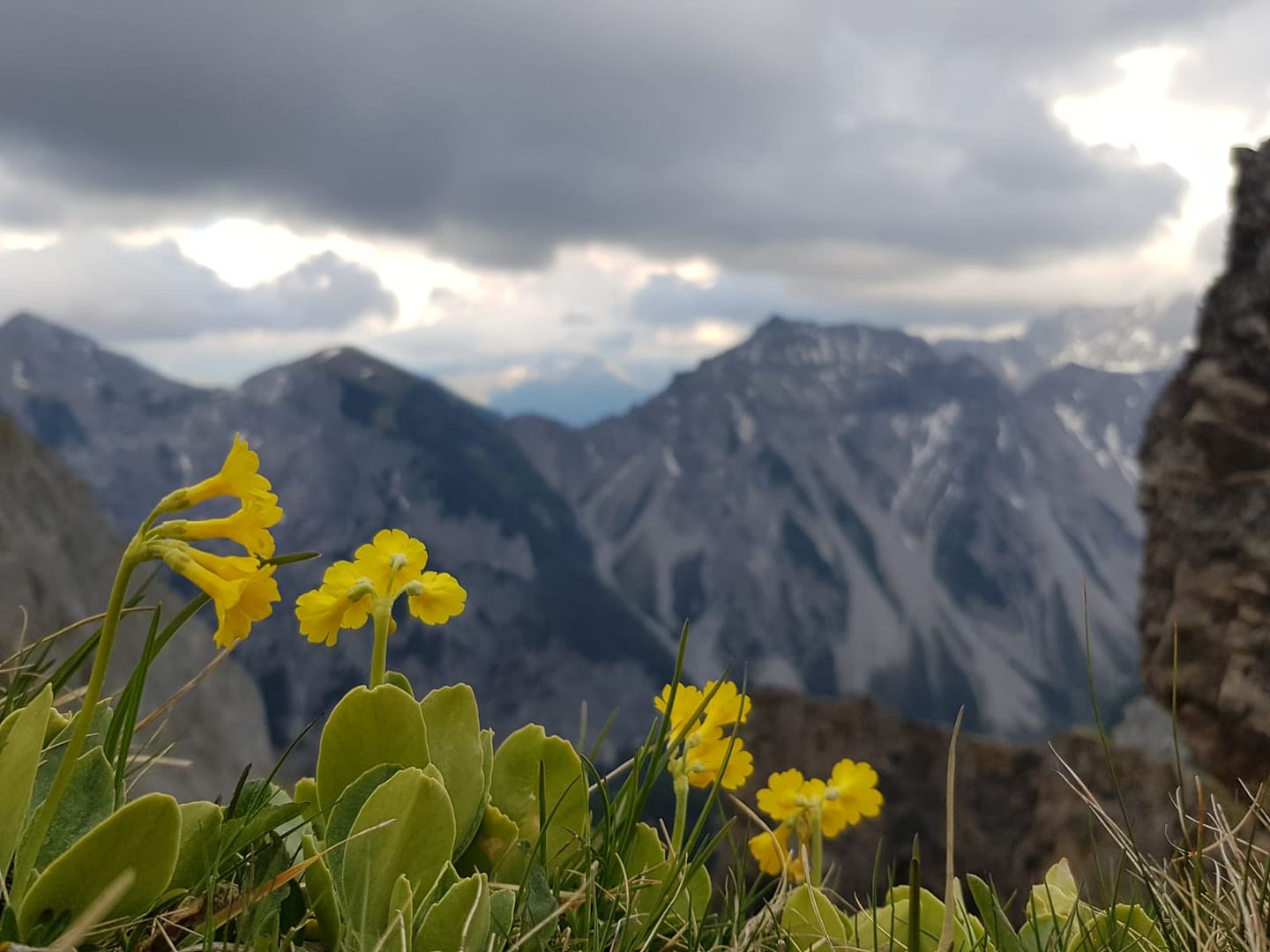 Sonnjoch
