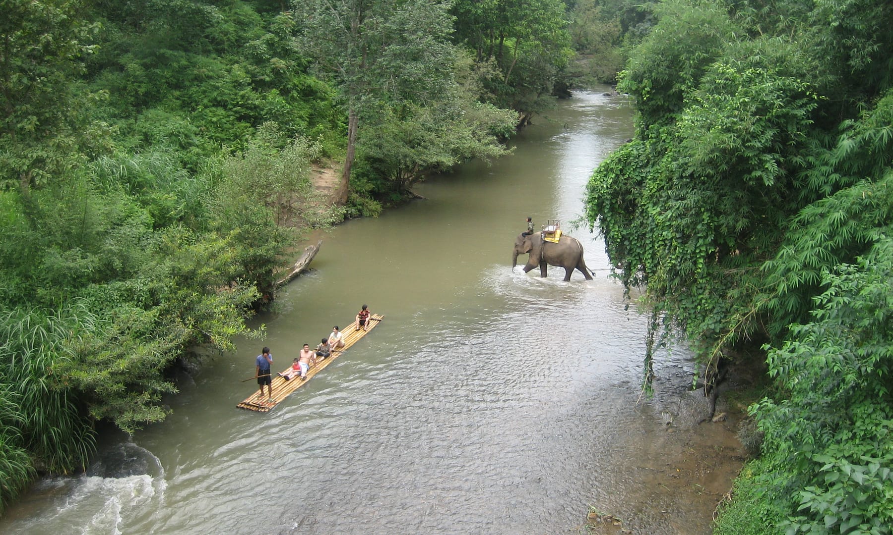 Chiang Mai Dschungel