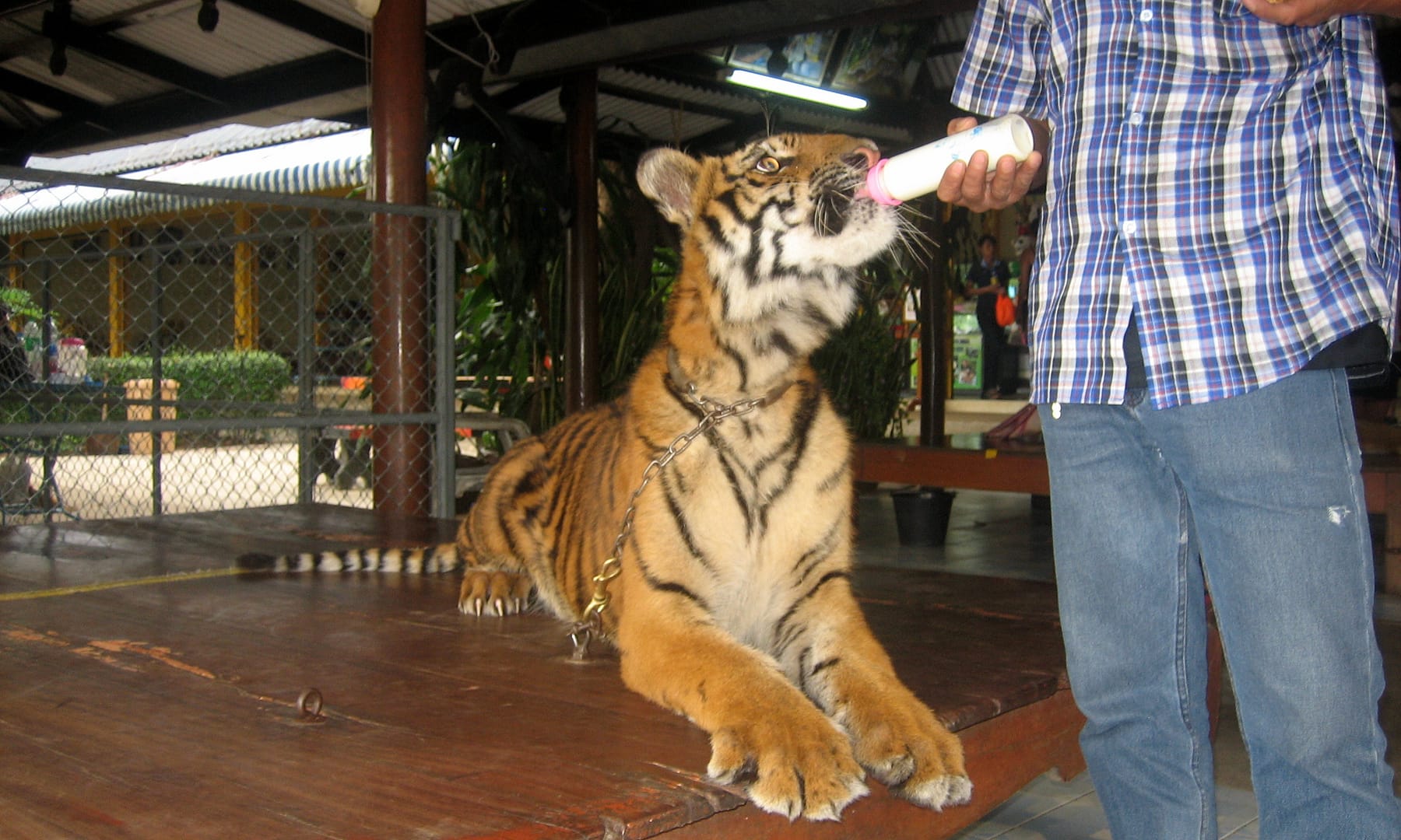 Kanchanaburi Erlebnispark​