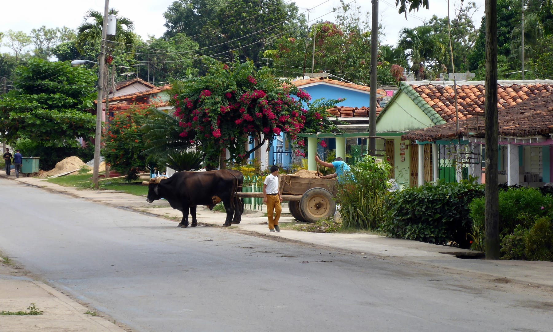 Viñales