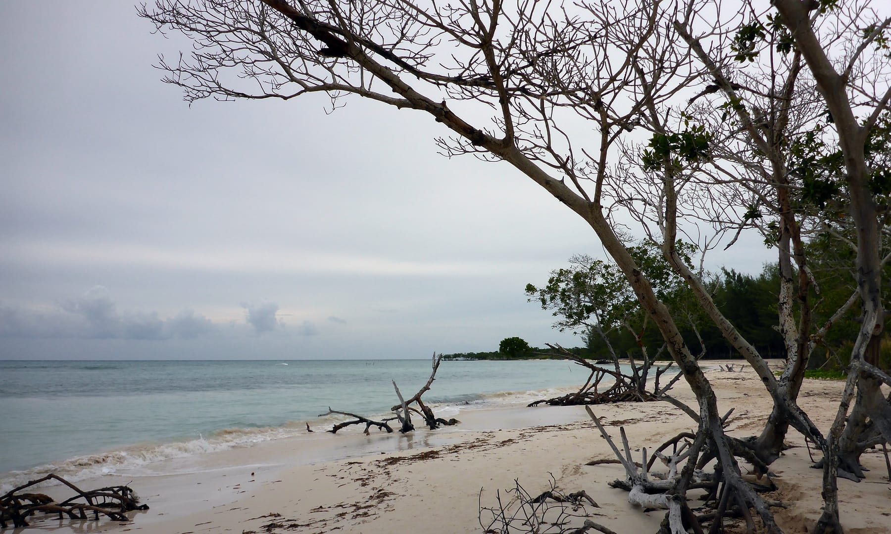 Cayo Jutias
