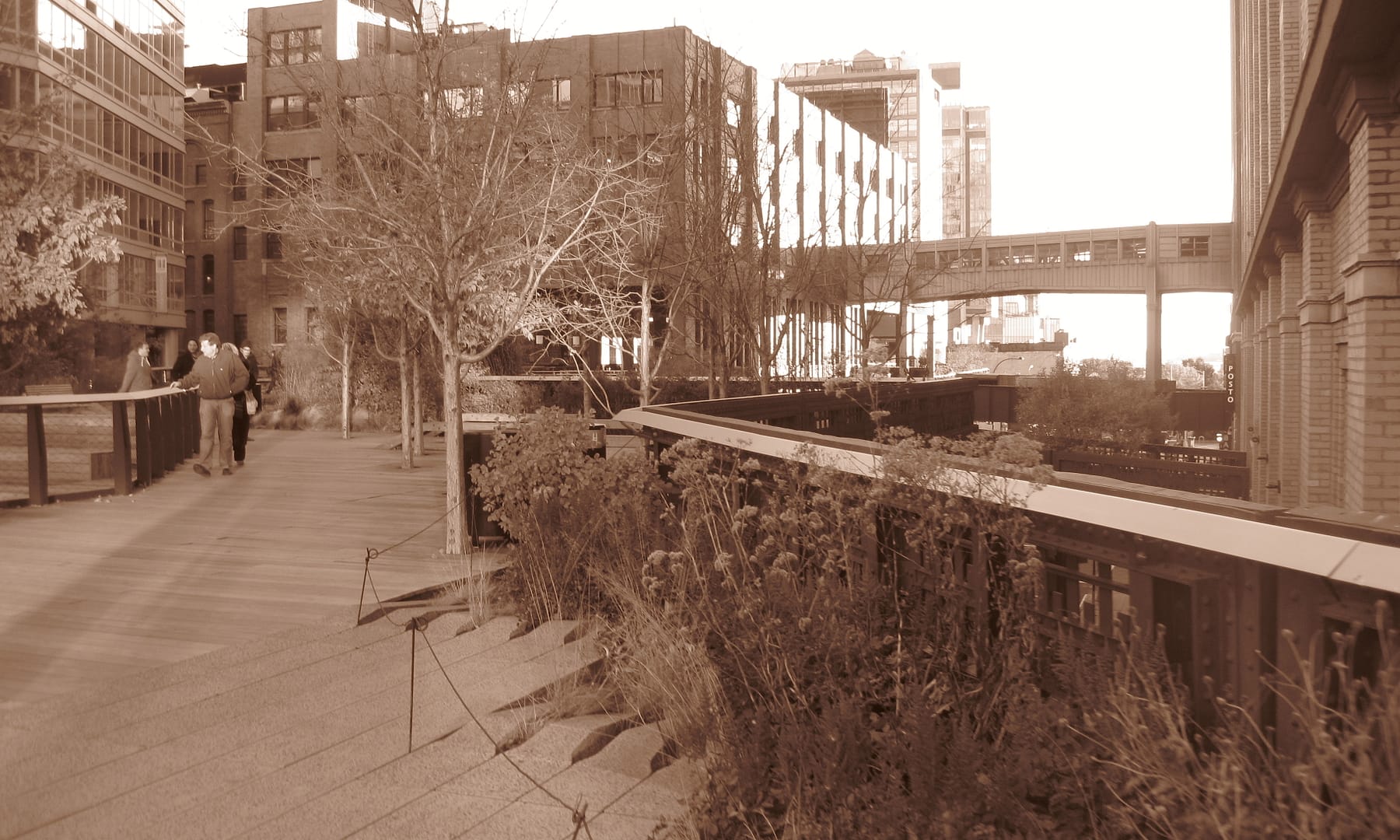New York High Line