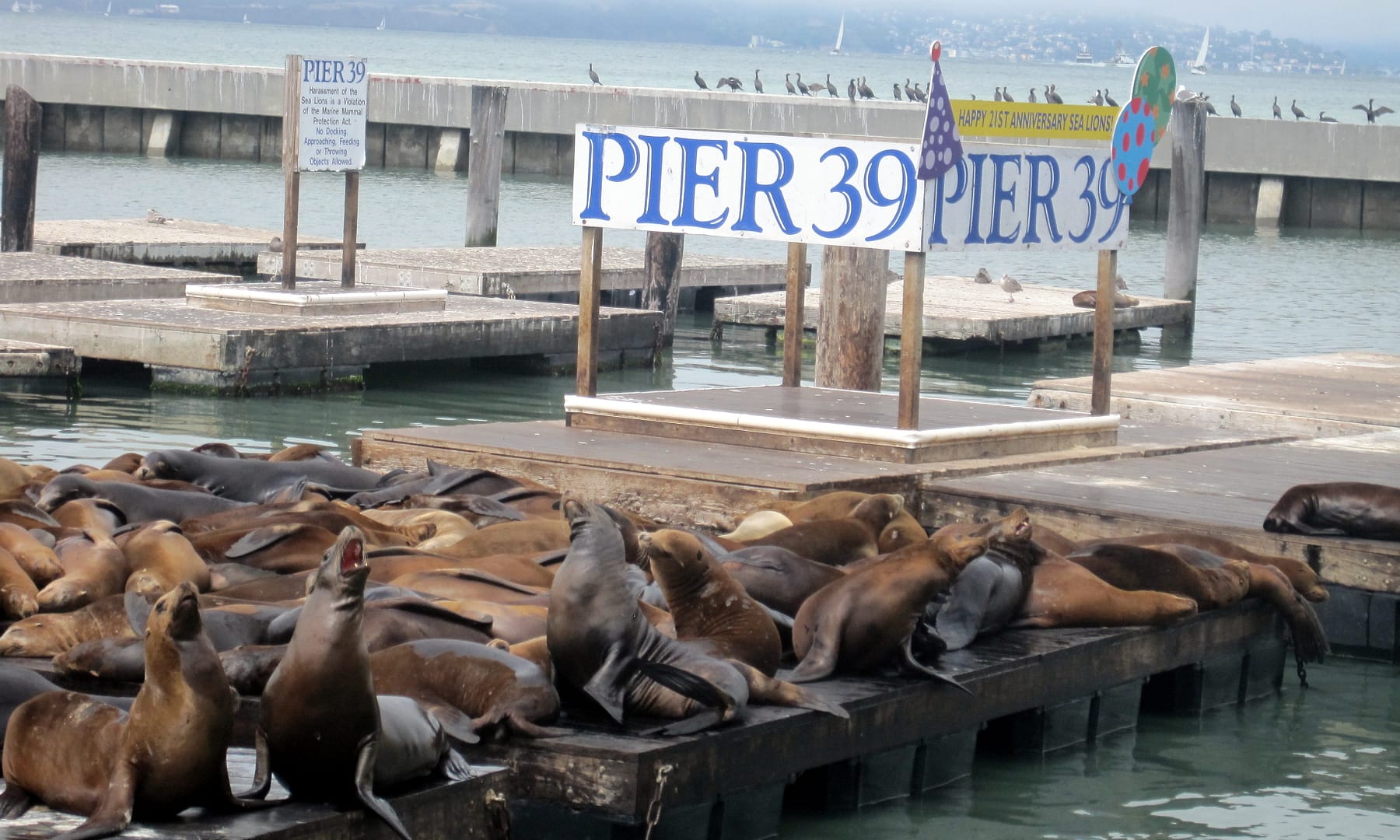 Monterey
