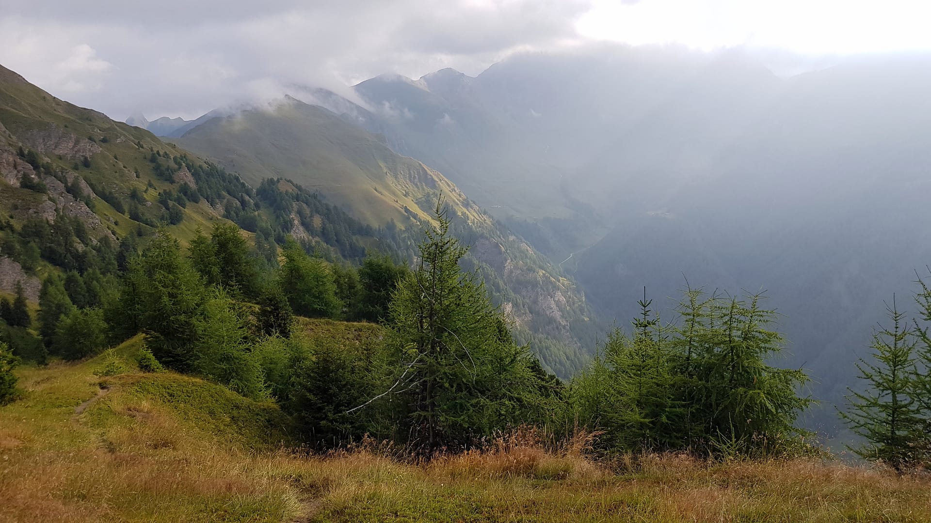 Weg zur Simile Mahd Alm