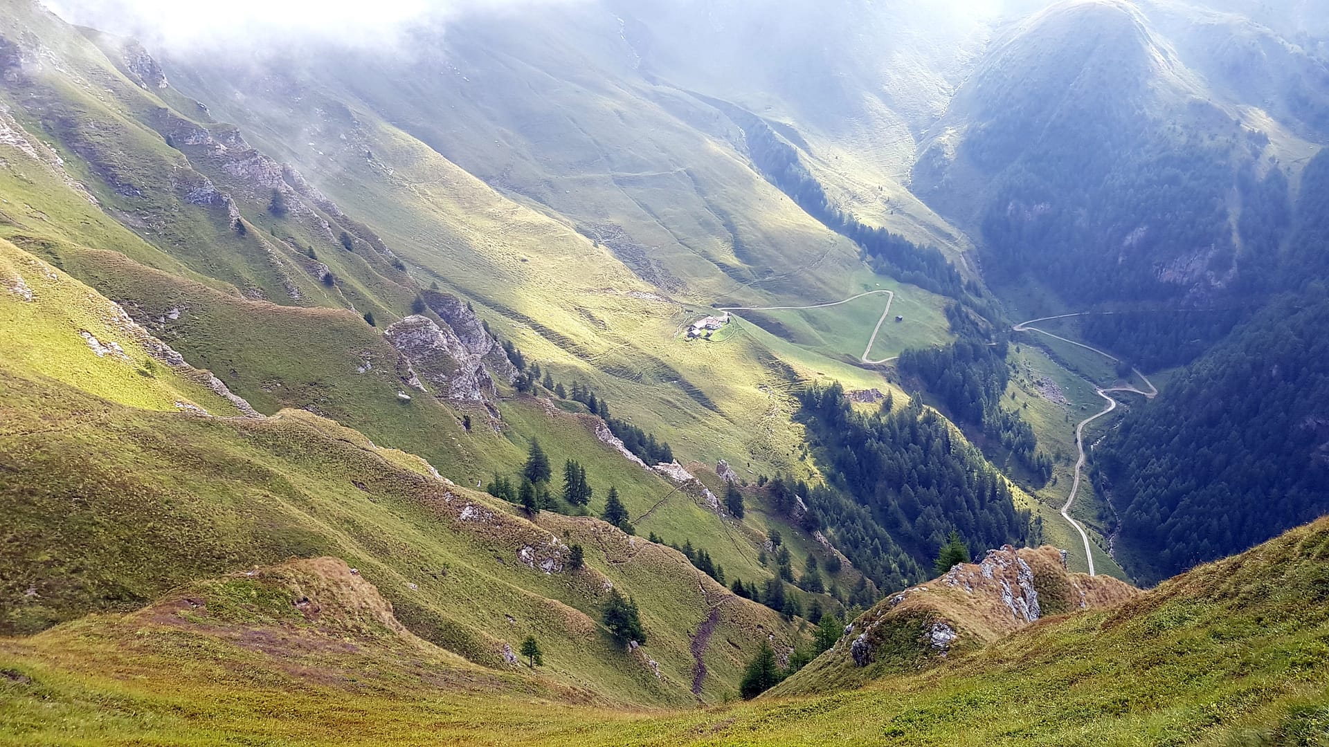 Weg zur Simile Mahd Alm