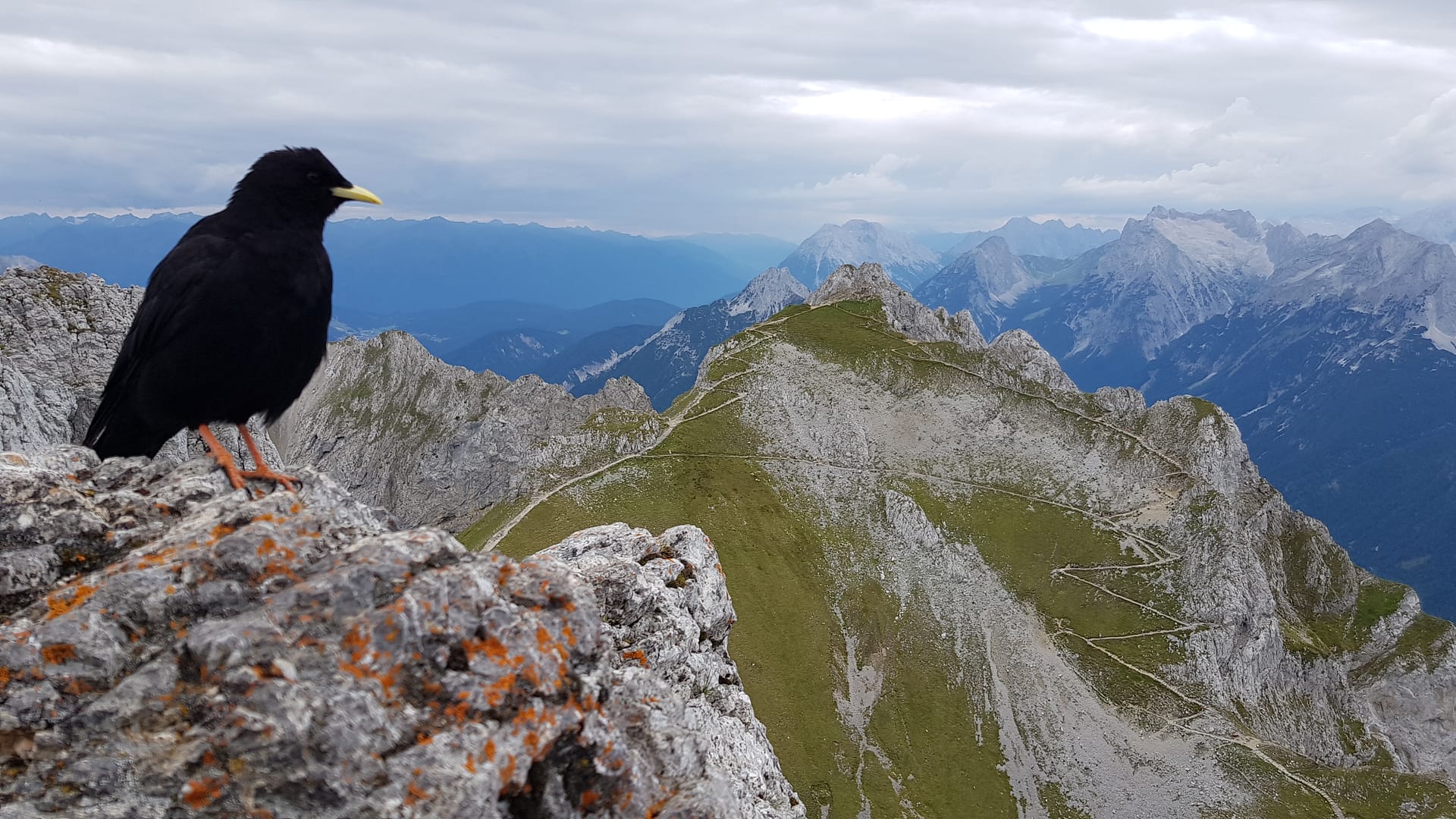 Westliche Karwendelspitze