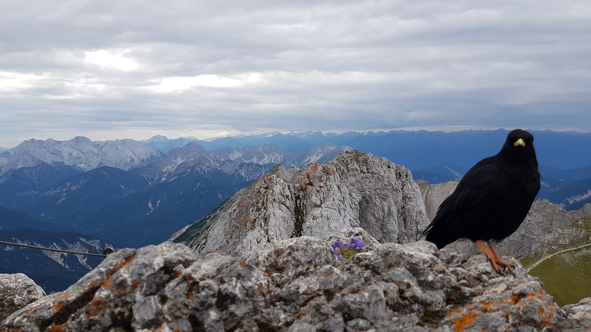 Westliche Karwendelspitze