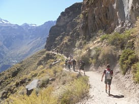 Colca canyon (Wanderung) Colca canyon
