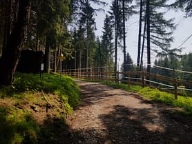 Hirschkopf 1.960 m (Wanderung) Hirschkopf 1.960 m Wanderung 11