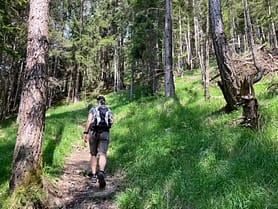 Hirschkopf 1.960 m (Wanderung) Hirschkopf 1.960 m Wanderung 8