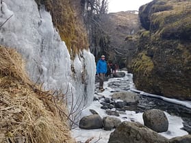 Nauthúsagil & Nauthúsafoss Wasserfall (Wanderung) Nauthusagil Nauthusafoss Wasserfall Wanderung 1