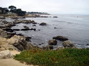 Monterey Monterey