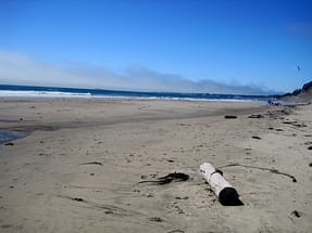 Monterey Monterey