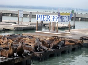 Monterey Monterey