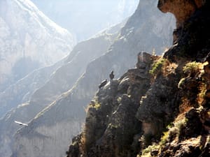 Colca canyon