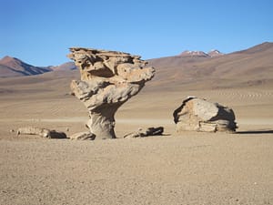 Arbol de roca