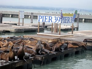 Monterey