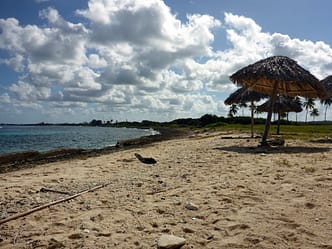 Strand Playa Coral Playa Coral