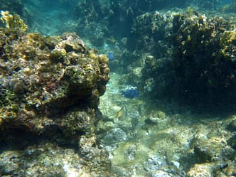 Strand Playa Coral Playa Coral