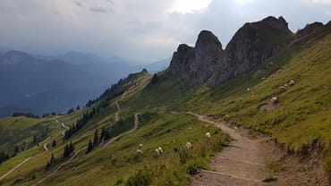 Rotwand 1.884 m (Wanderung) Rotwand