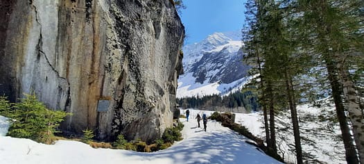 Greizer Hütte 2.227 m (Skitour) IMG 20210425 WA0060