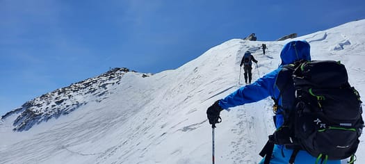 Schwarzenstein 3.369 m & Felsköpfl 3.235 m (Skitour) Schwarzenstein Felskoepfl Skitour 16