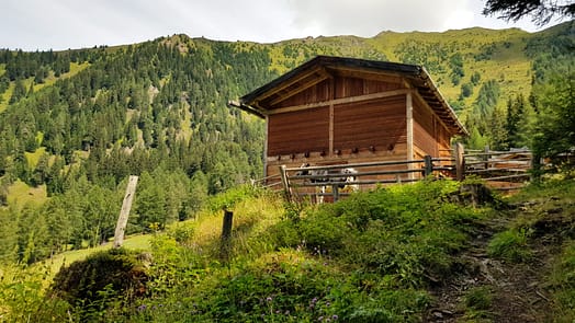 Höllenkragen 2.387 m (Wanderung) Plitschalm