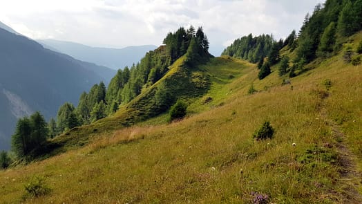 Brixner Hütte (Wanderung) Weg zur Simile Mahd Alm