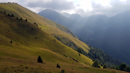 Brixner Hütte (Wanderung) Weg zur Simile Mahd Alm
