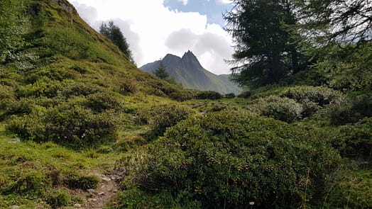 Brixner Hütte (Wanderung) Weg zum wilden See