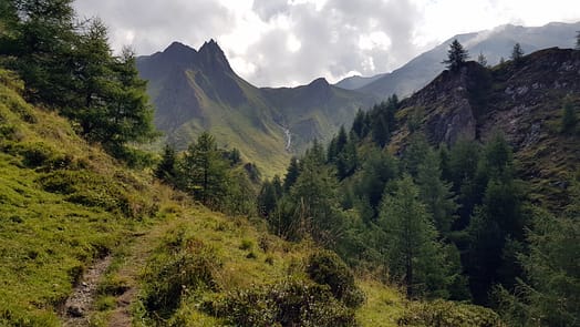 Brixner Hütte (Wanderung) Weg zum wilden See