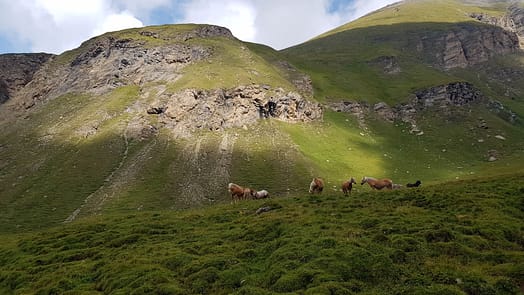 Brixner Hütte (Wanderung) Weg zum wilden See