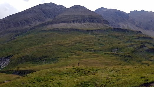 Wurmaulspitze 3.022 m (Wanderung) Murmeltier