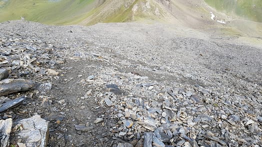 Wilde Kreuzspitze 3.132 m (Wanderung) Weg zur Sterzinger Hütte