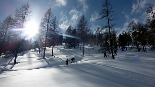 Schöpfling 2.149 m (Skitour) Schöpfling