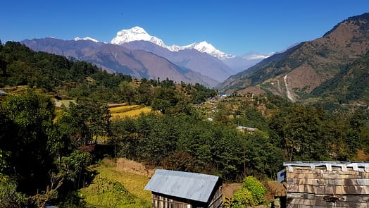 Von Tatopani nach Ghorepani (Wanderung) Tatopani Ghorepani 10