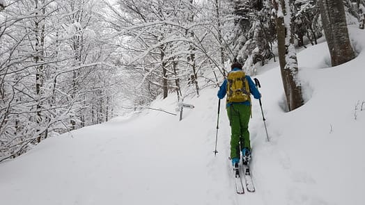 Schönkahler 1.688 m (Skitour) Schönkahler (Skitour)