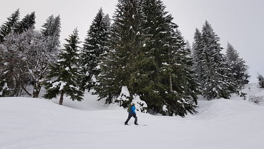 Spieser 1.651 m (Skitour) Spieser Skitour 2