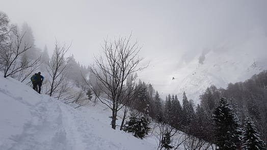 Spieser 1.651 m (Skitour) Spieser Skitour 4