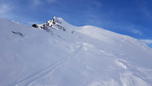 Niederjochkogel 2.146 m (Skitour) Niederjochkogel 3